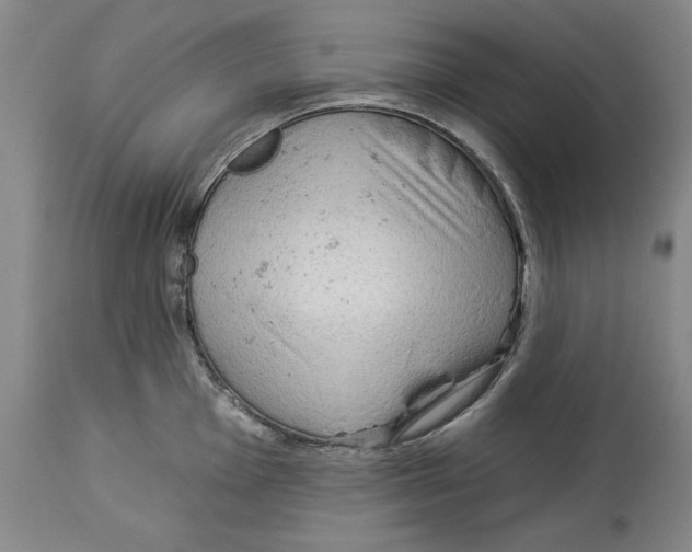 X0000113131001200910021411