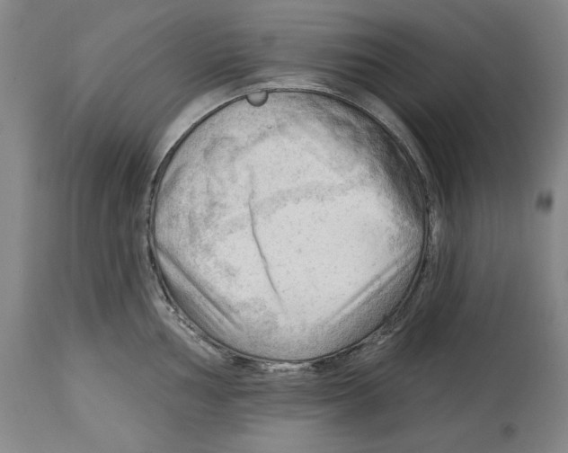 X0000113131002200910021411