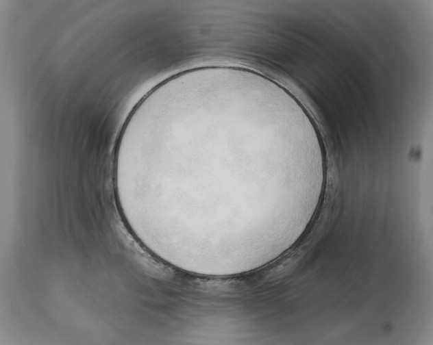 X0000113131004200910021411