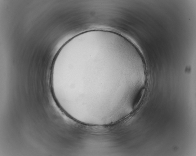 X0000113131007200910021411