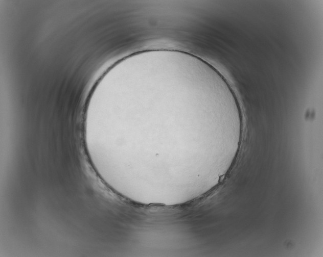 X0000113131008200910021411