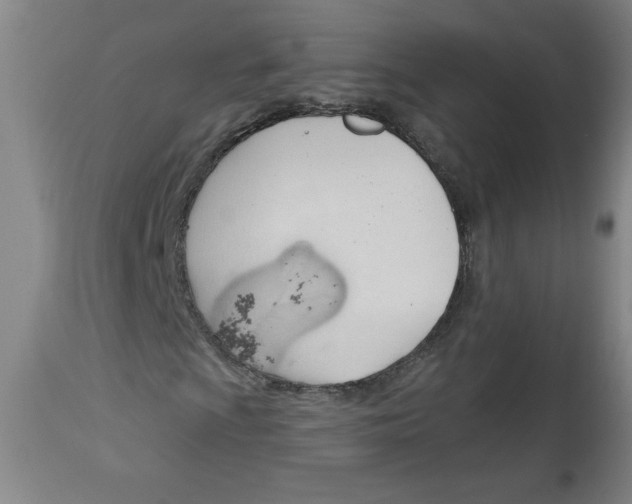 X0000113131009200910021410