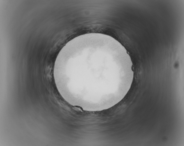 X0000113131010200910021410