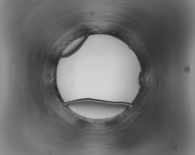 X0000113131012200910021410