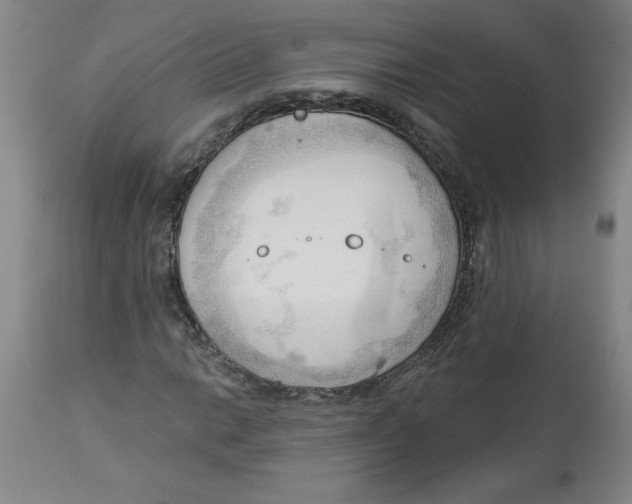 X0000113131014200910021410