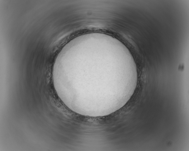 X0000113131015200910021410