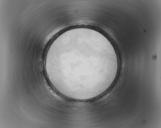 X0000113131018200910021411