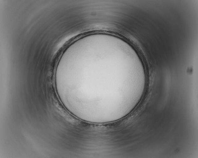 X0000113131019200910021411