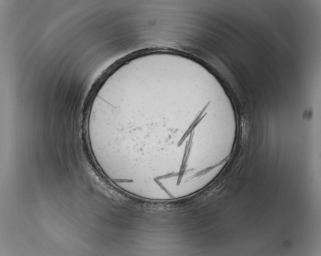 X0000113131020200910021411