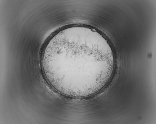 X0000113131022200910021411
