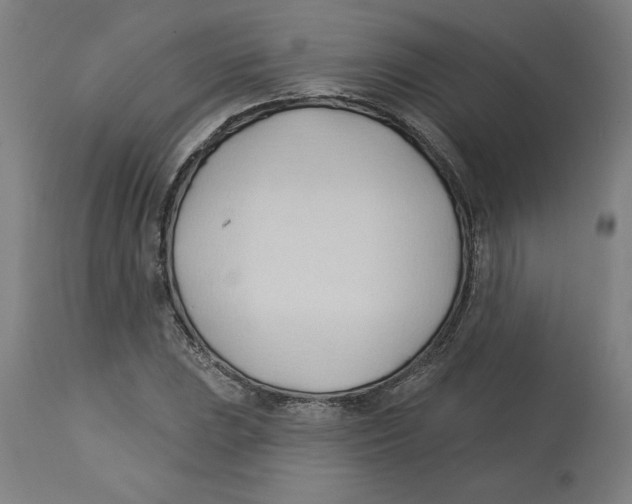 X0000113131023200910021411