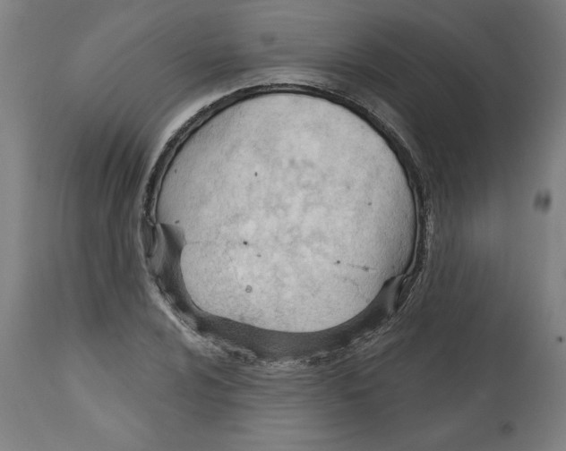 X0000113131024200910021411