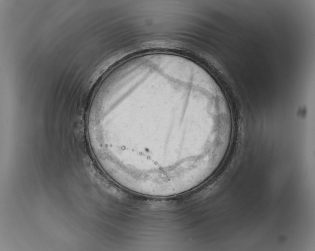 X0000113131025200910021411