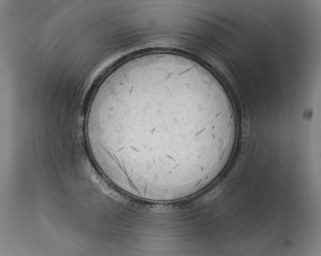 X0000113131029200910021411