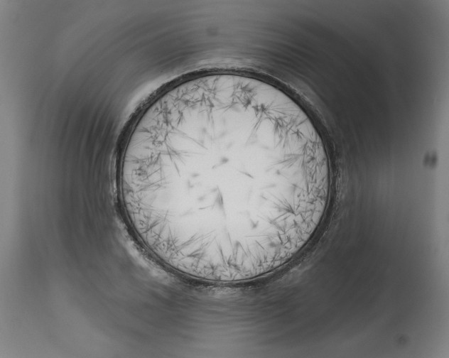 X0000113131030200910021411
