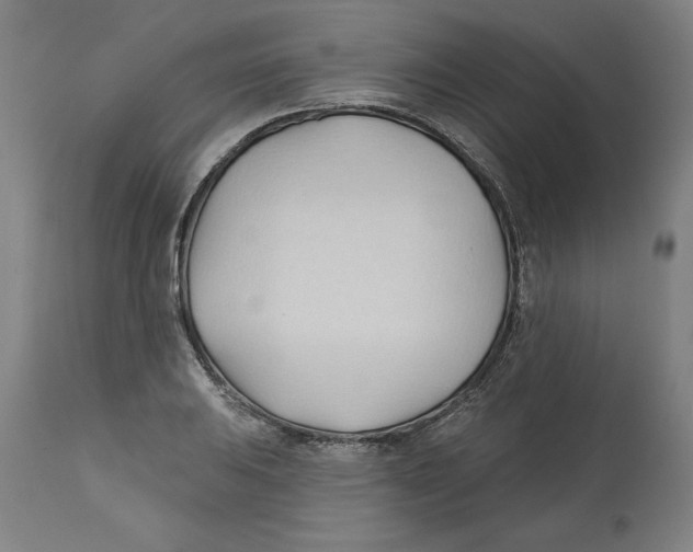 X0000113131031200910021411