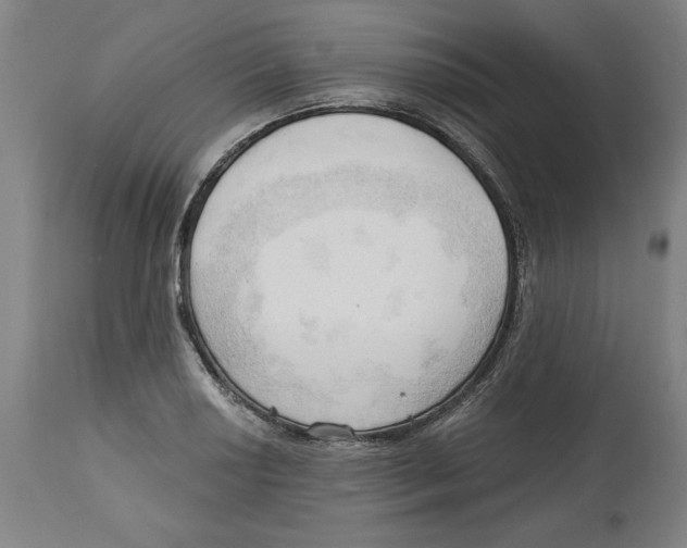 X0000113131034200910021411