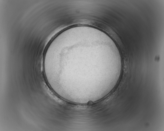 X0000113131036200910021411