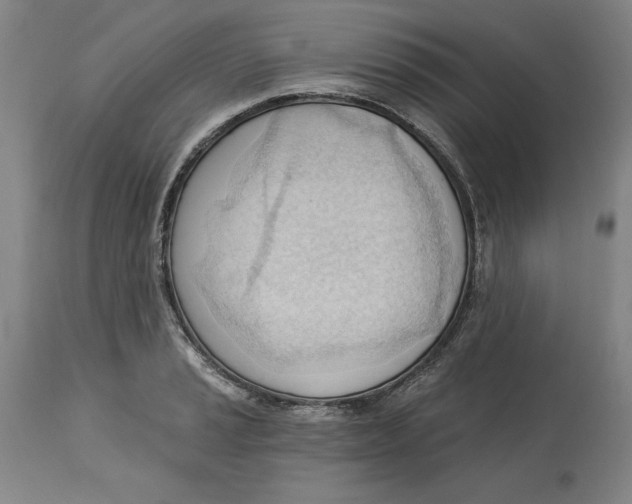 X0000113131037200910021411