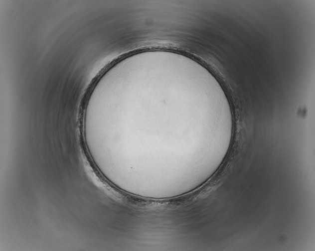 X0000113131038200910021411