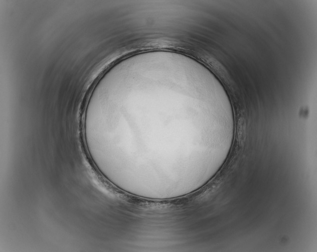 X0000113131039200910021411