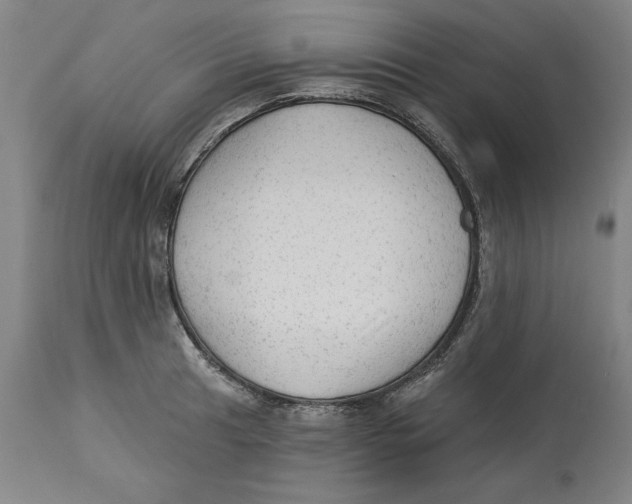 X0000113131041200910021411