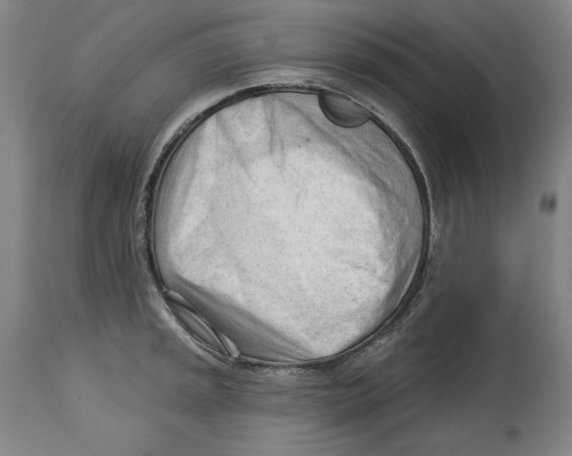 X0000113131045200910021411