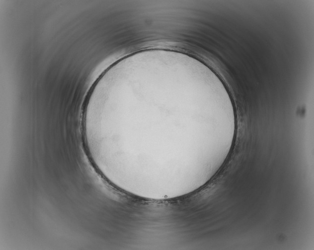 X0000113131050200910021411