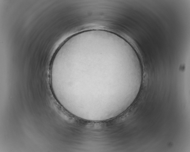 X0000113131051200910021411