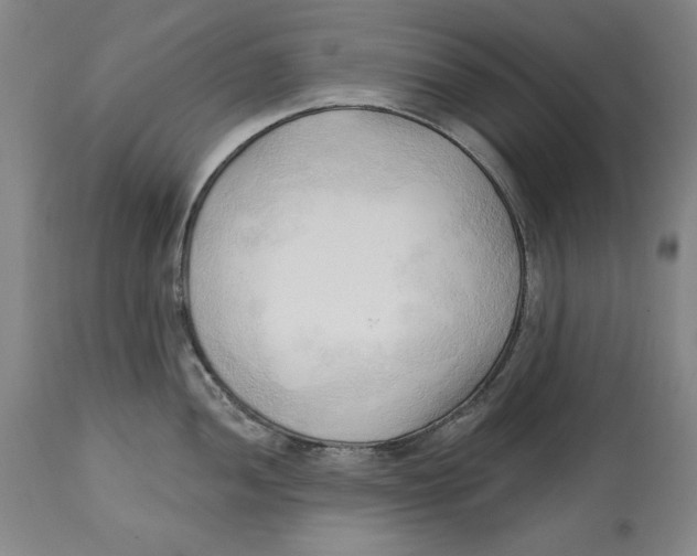 X0000113131052200910021411