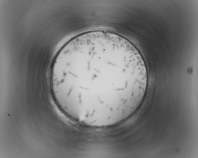 X0000113131054200910021411