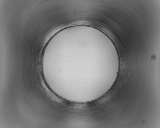 X0000113131055200910021411