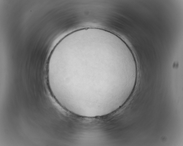 X0000113131056200910021411