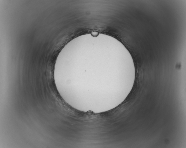 X0000113131058200910021410