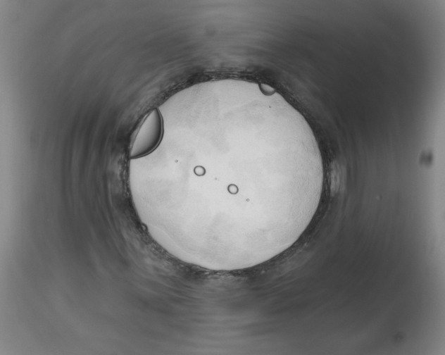 X0000113131059200910021410