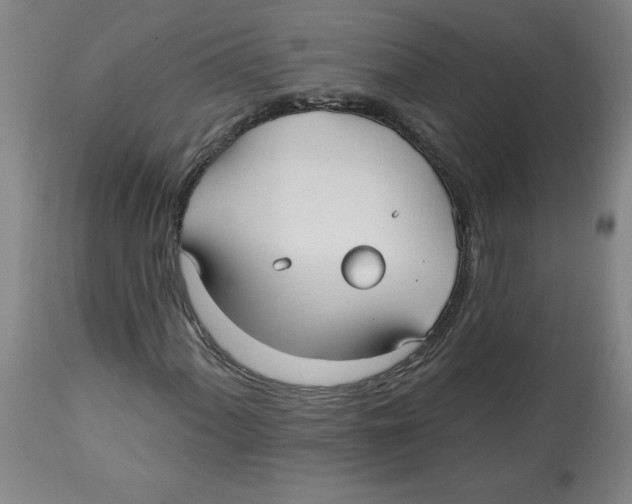 X0000113131060200910021410