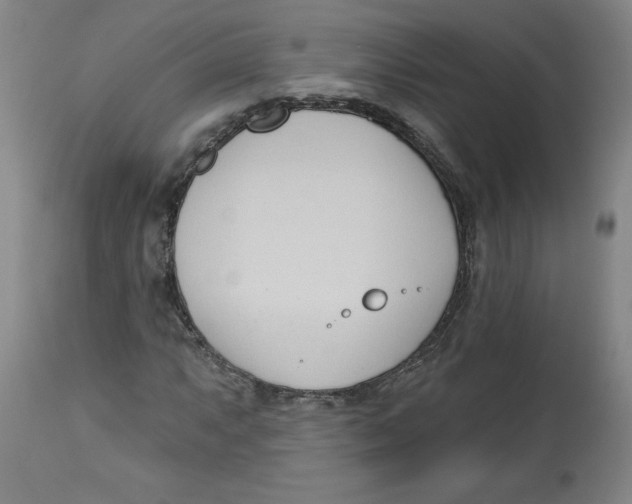 X0000113131063200910021410