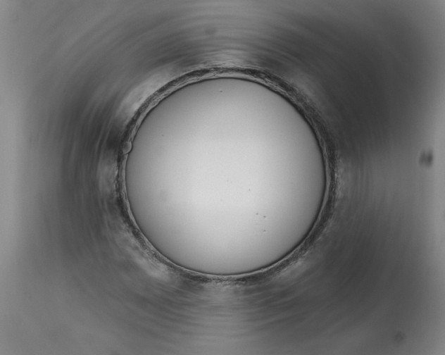 X0000113131065200910021410