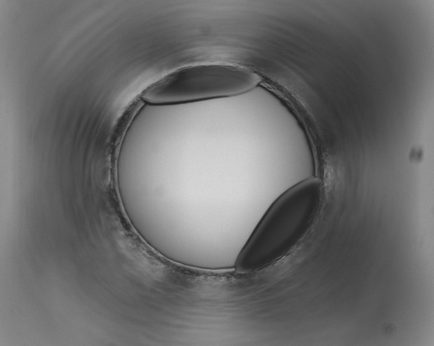 X0000113131069200910021410