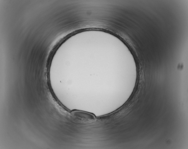 X0000113131072200910021410