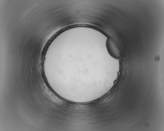 X0000113131076200910021410