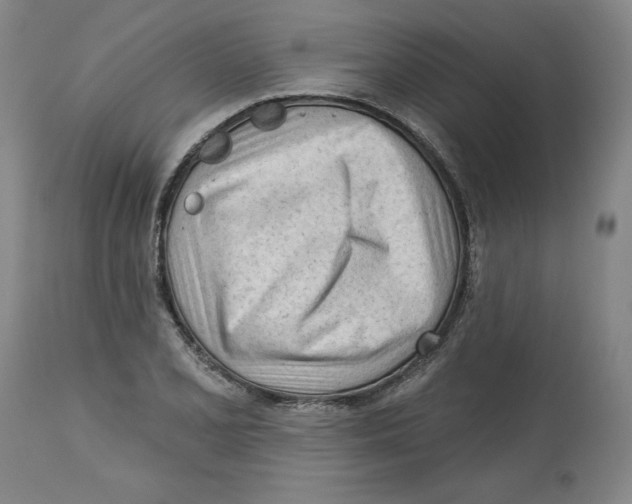 X0000113131077200910021410