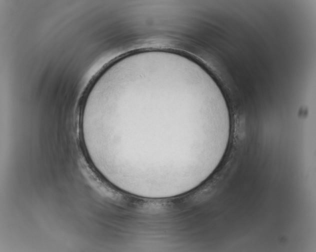 X0000113131078200910021410