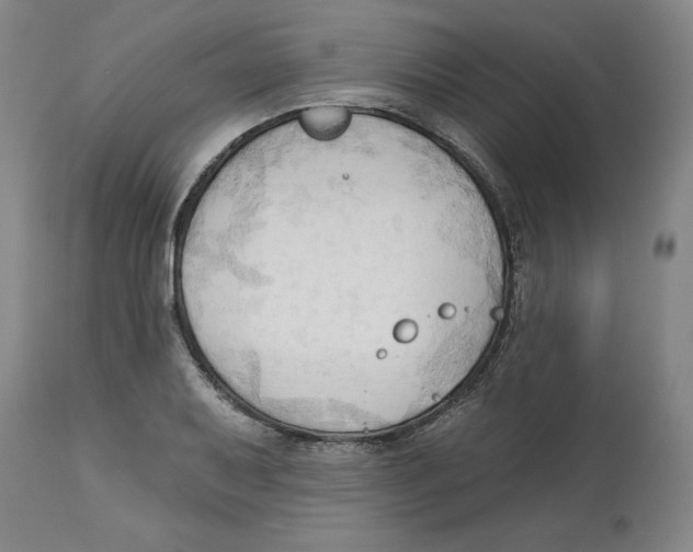 X0000113131079200910021410