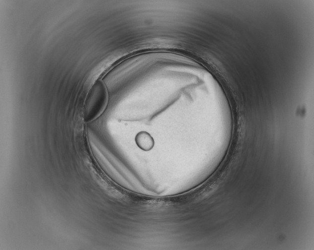 X0000113131081200910021410