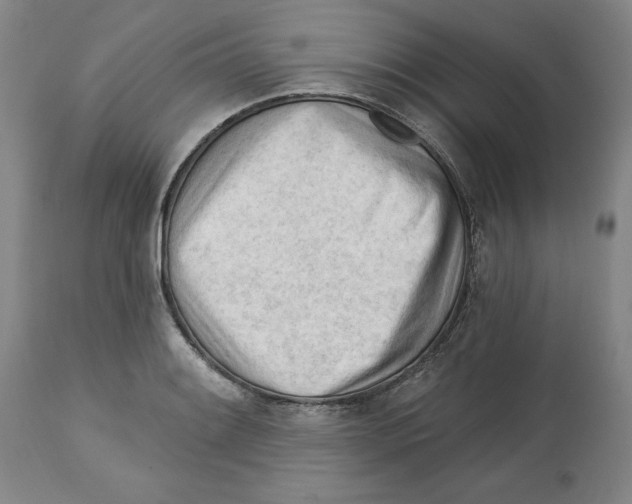 X0000113131084200910021410