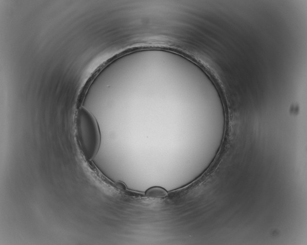 X0000113131085200910021410