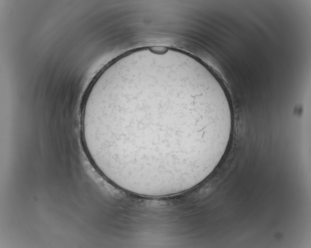 X0000113131088200910021410