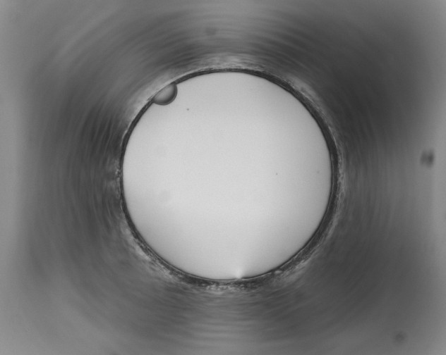 X0000113131089200910021410