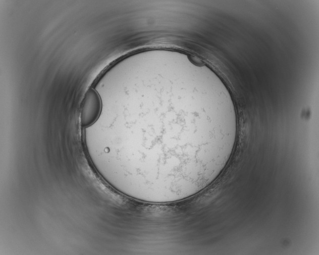 X0000113131092200910021410